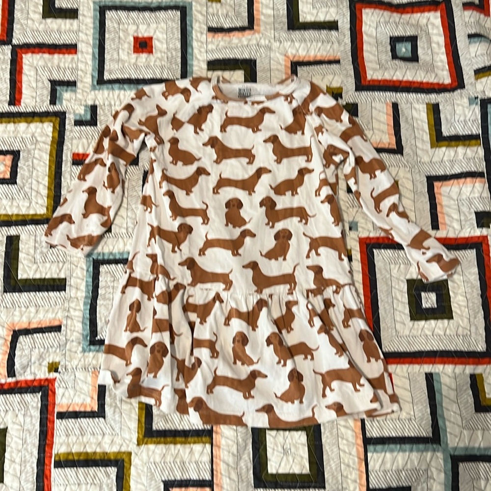 Winter Water Factory Dog Dress Size 4T